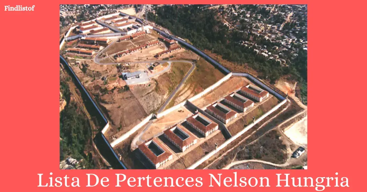 Lista De Pertences Nelson Hungria