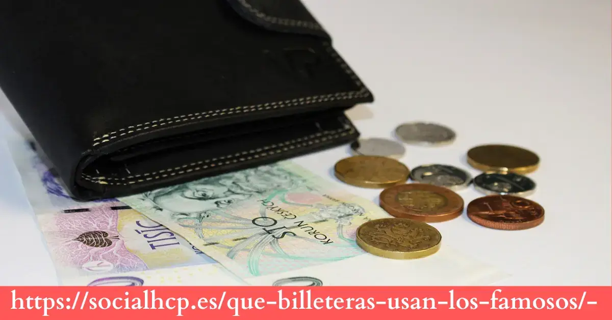 https://socialhcp.es/que-billeteras-usan-los-famosos/